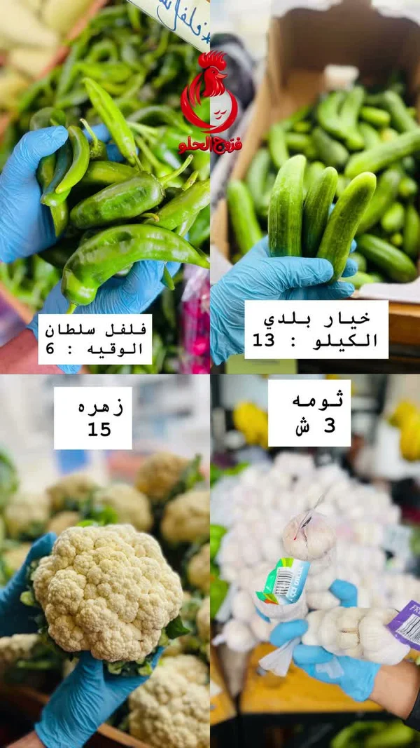 خيار بلدي - مواد غذائية وبقالة - سوق غزة