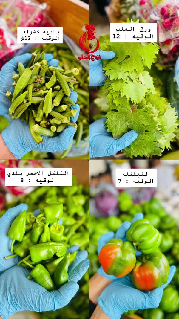 بامية خضراء طازجة - فروج الحلو - مواد غذائية وبقالة - سوق غزة
