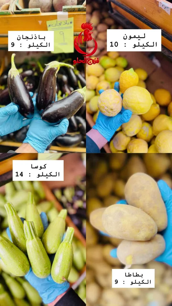 باذنجان طازج - مواد غذائية وبقالة - سوق غزة