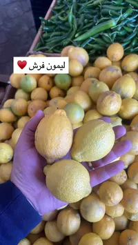 ليمون فرش
