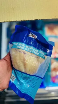 أوريوكروميس نيلوتيكوس - سمك مملح