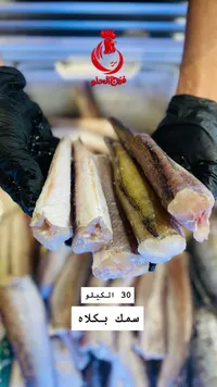 سمك بكلاه - فروج الحلو - سوق غزة