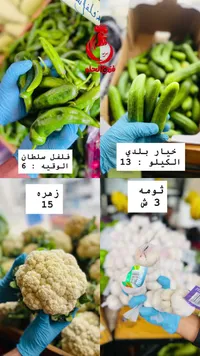 خيار بلدي - سوق غزة