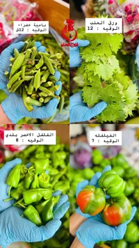 بامية خضراء طازجة - فروج الحلو - سوق غزة