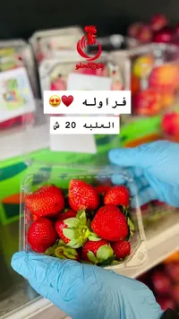 فراولة طازجة - فروج الحلو - سوق غزة