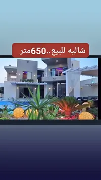 شاليه للبيع 650 متر