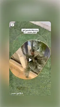 مرايا معلقة بتصميم أنيق