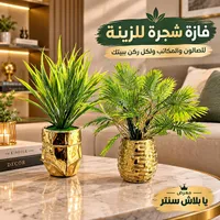 فازة شجرة للزينة