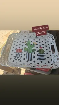 صينية تقديم بلاستيكية بنقوش الصبار - سوق غزة