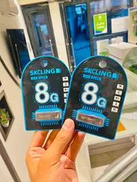 فلاش ميموري 8 جيجا - SKCLING