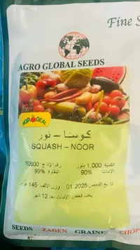 بذور كوسا صنف نور - أغرو غلوبال سيدز (Agro Global Seeds) - سوق غزة