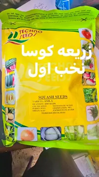 بذور كوسا صنف أسيلا - تكنو سيدز (Techno Seeds) - سوق غزة
