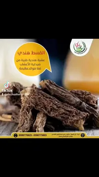 القسط الهندي - عطارة أبو هيثم بلبل