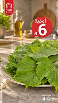 ورق عنب طازج - نستو (Nesto) - سوق غزة