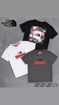 تيشيرتات صيفية للشباب - ذا نورث فيس (The North Face)