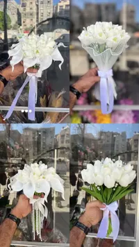 مسكة عروس توليب وكالا