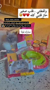 مجموعة مستلزمات العناية بالقطط - فريسكس (Friskies) - سوق غزة