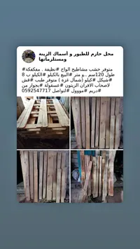 مشابيط الواح خشب - محل حازم للطيور وأسماك الزينة ومستلزماتها - سوق غزة