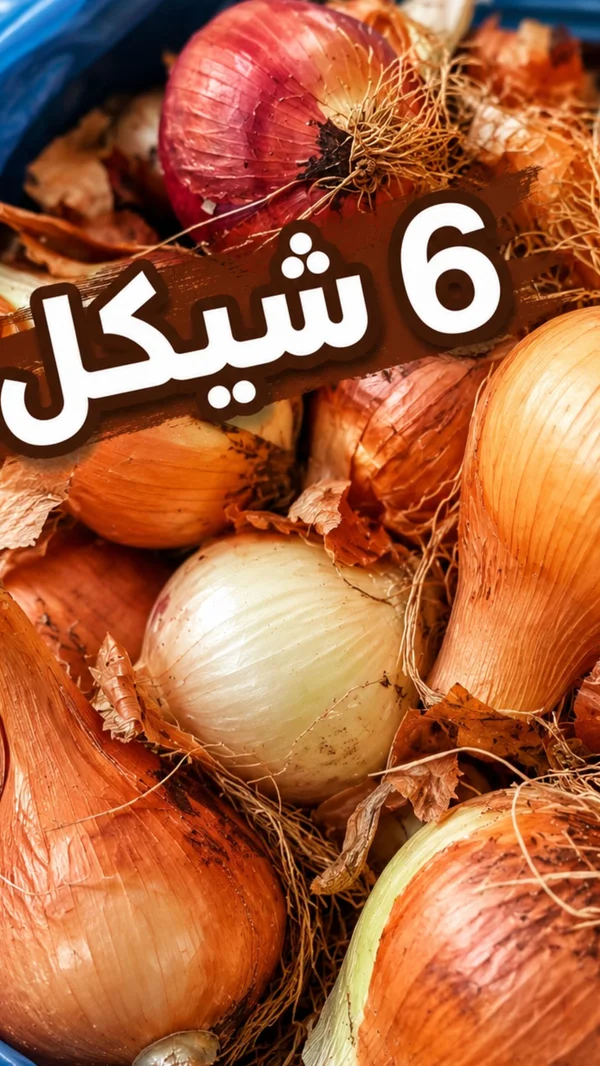 بصل طازج - مواد غذائية وبقالة - سوق غزة