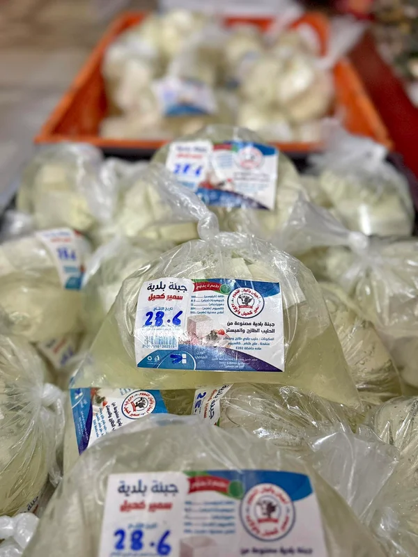 جبنة بلدية - سمير كحيل - مواد غذائية وبقالة - سوق غزة