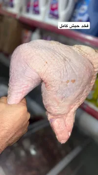 فخد حبش كامل