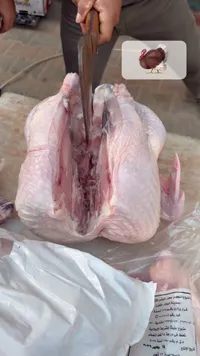 حبش كامل طازج