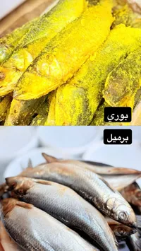 ذرة صفراء طازجة
