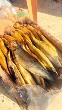 سمك مدخن طازج