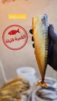 سمك مملح - الكمية قليلة
