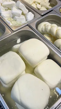 جبنة موتزاريلا طازة