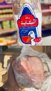 بط مجمد - العابد