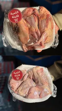 حمام طازج مغلف
