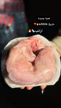 لحم أرنب طازج