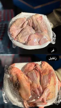 فر وزغاليل طازجة