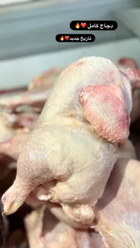 دجاج كامل طازج