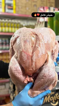 حبش كامل طازج