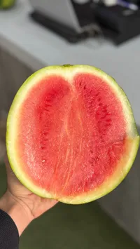بطيخ أحمر طازج