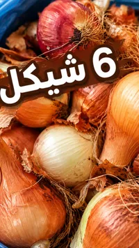 بصل طازج - سوق غزة