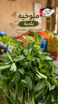 ملوخية بلدية - سوبر ماركت عبود
