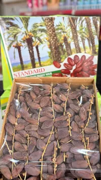 تمر دقلة نور - ستاندرد (Standard)
