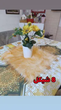 قط فارسي ذهبي اللون