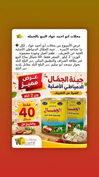 جبنة بيضاء دمياطي - الجمال - سوق غزة