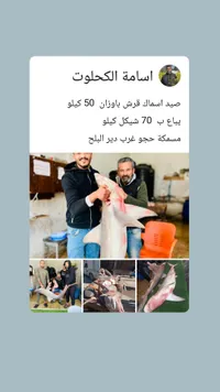 سمك قرش طازج - أسامة الكحلوت