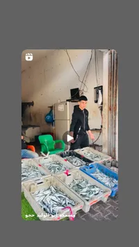 سمك طازج - مسمكة أبو الوليد حجو