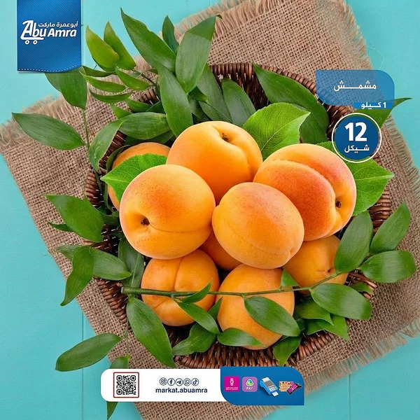 مشمش طازج - أبو عمرة ماركت - مواد غذائية وبقالة - سوق غزة