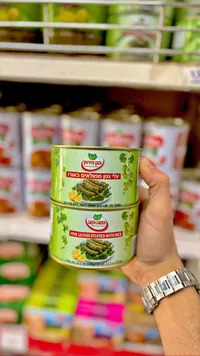 ورق عنب محشي بالأرز - جرين جاردن (Green Garden)