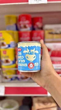 حليب مكثف محلى - ويلفود (Willy Food)