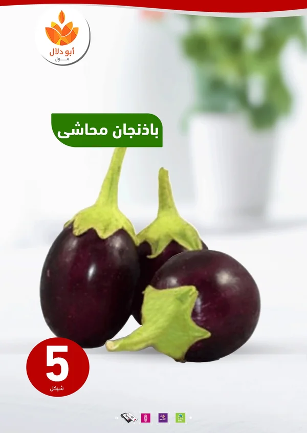 باذنجان محاشي - أبو دلال مول - مواد غذائية وبقالة - سوق غزة