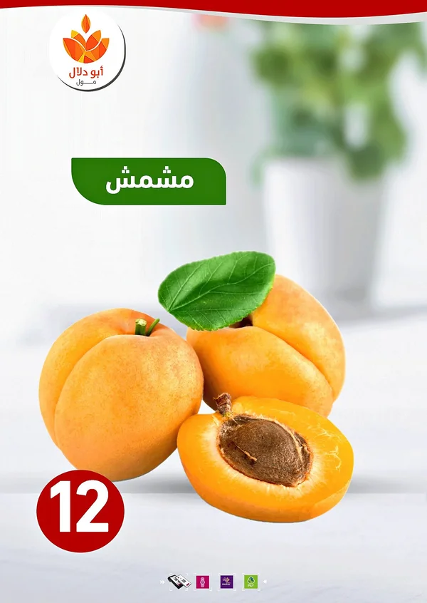 مشمش طازج - أبو دلال مول - مواد غذائية وبقالة - سوق غزة