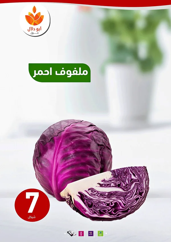 ملفوف أحمر طازج - مول أبو دلال - مواد غذائية وبقالة - سوق غزة